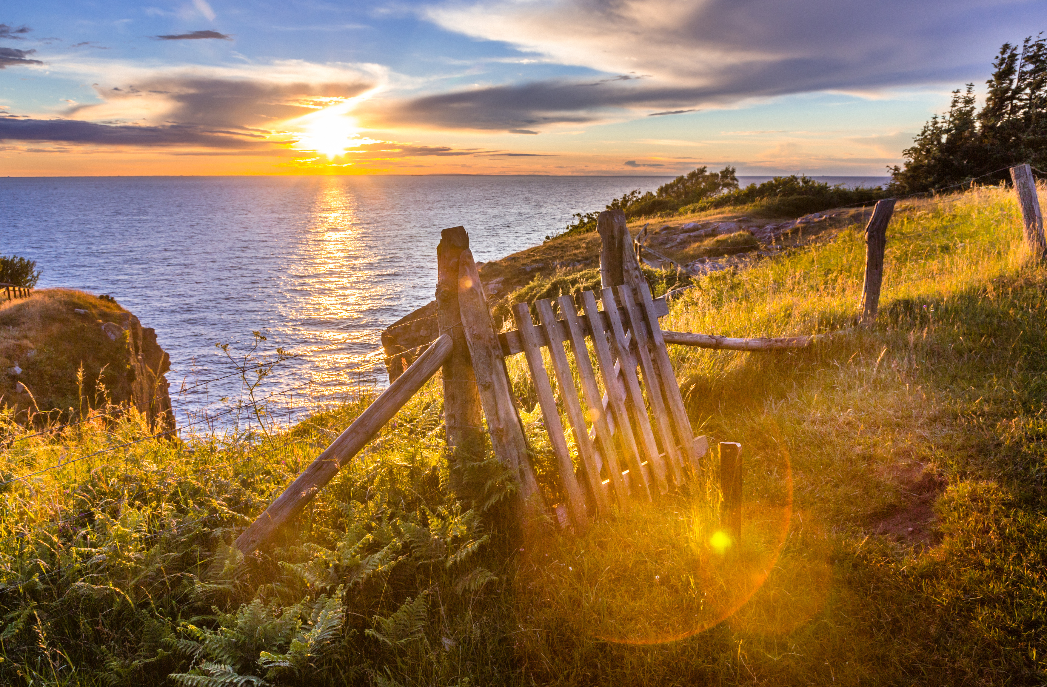 solnedgang over Bornholm fra lågen i hegnet