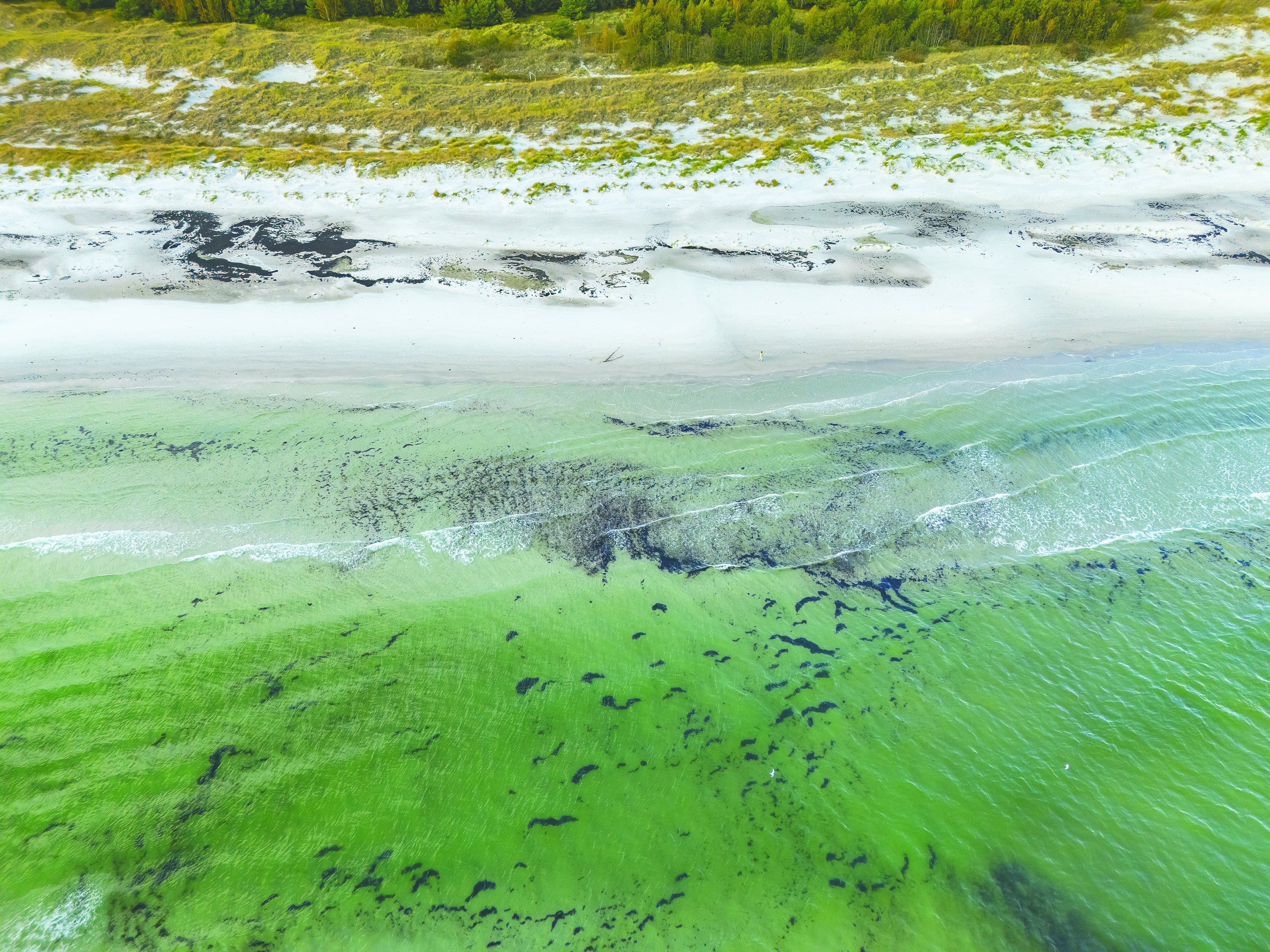 Dueodde strand med havet og klitterne