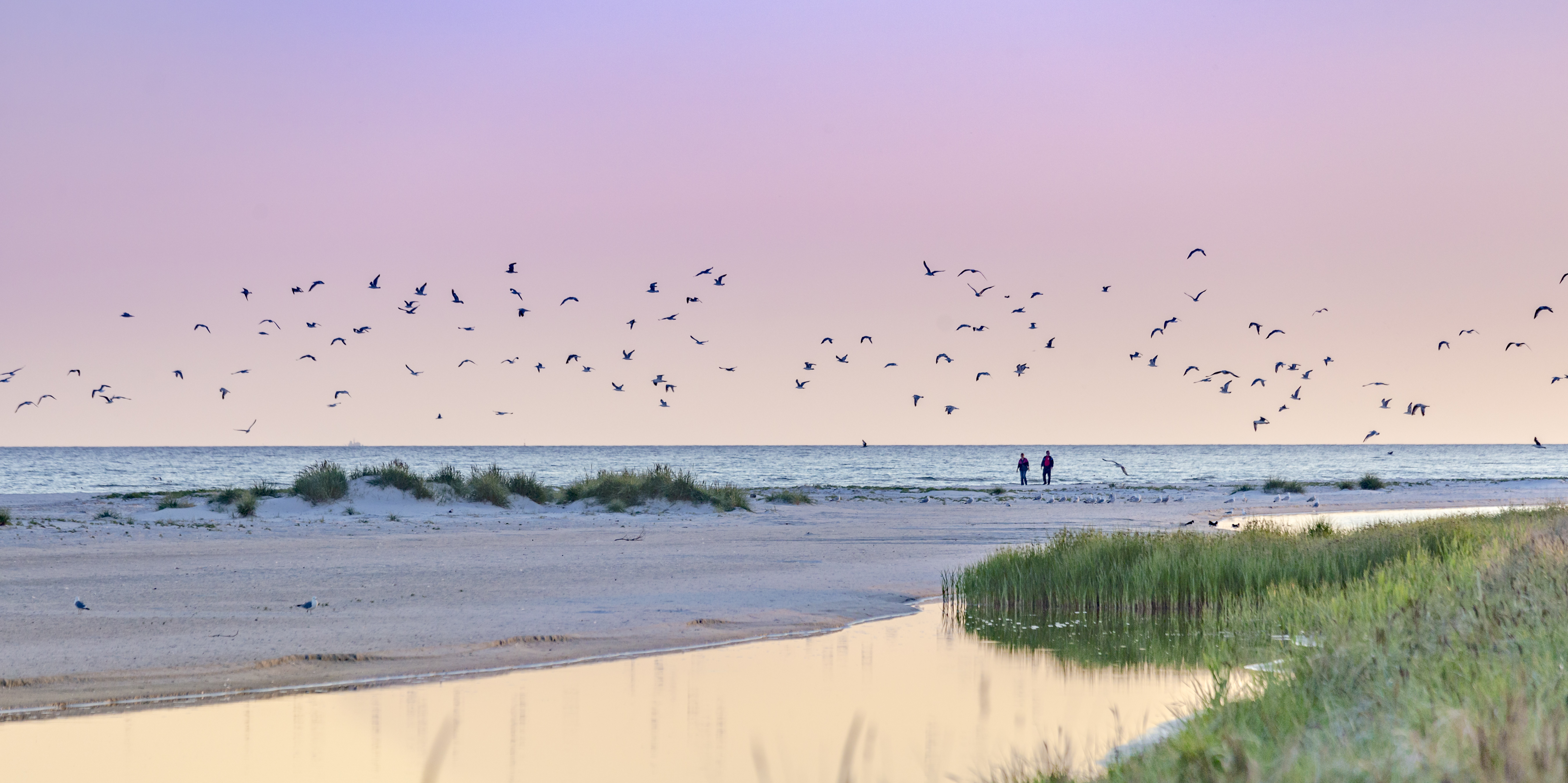 Aftentur på stranden