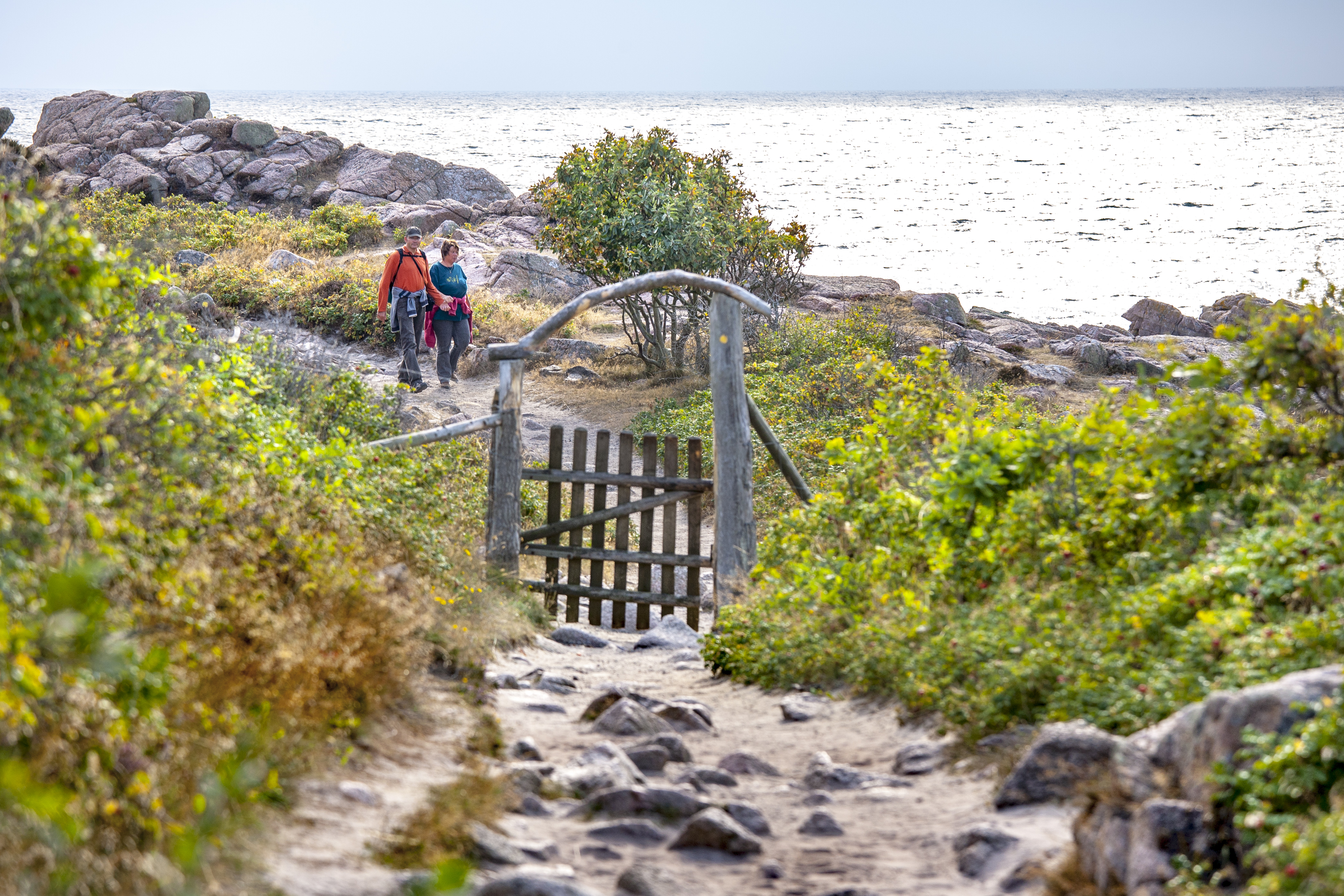 Vandretur langs kyststien på Hammeren