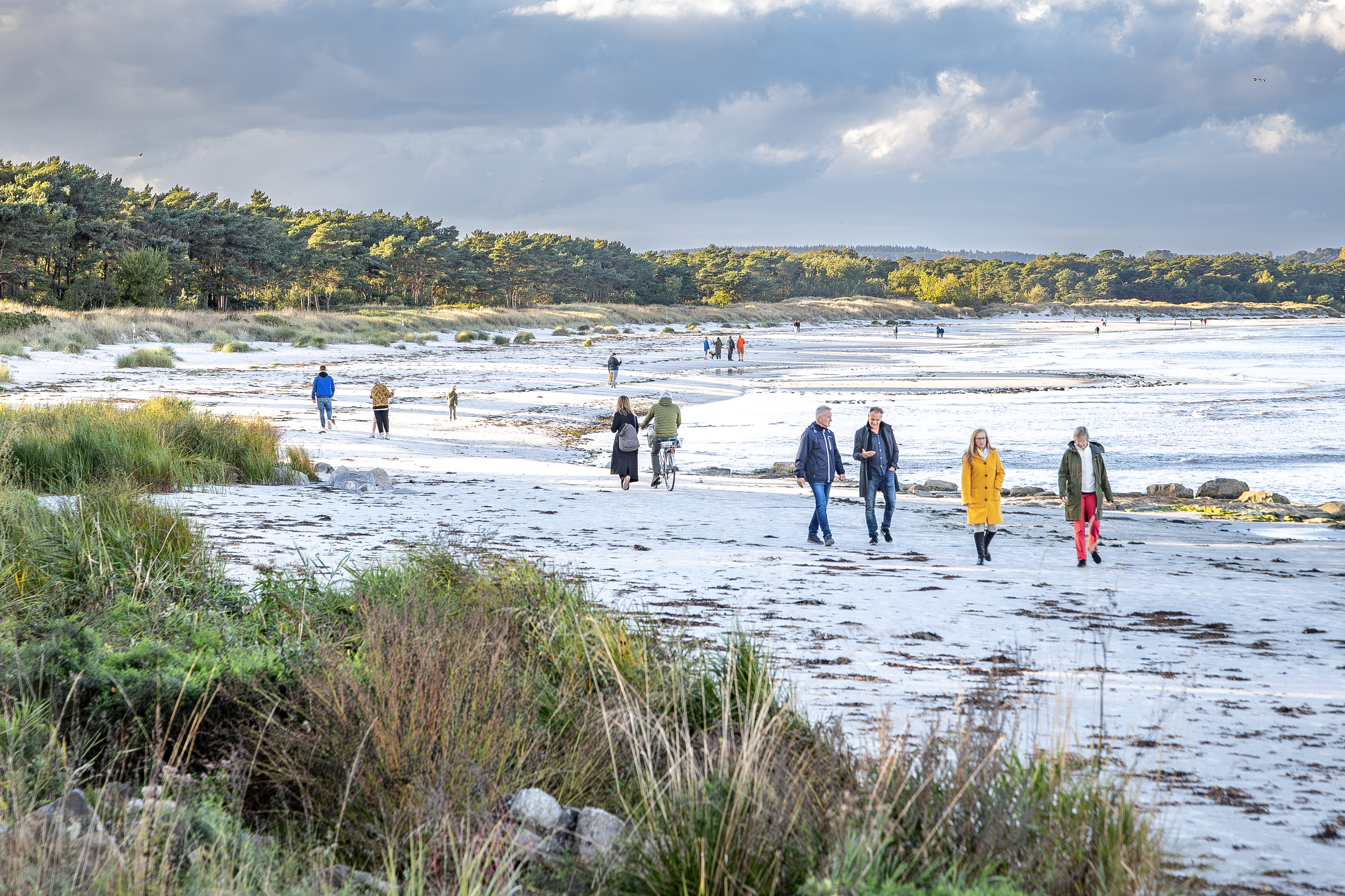 Folk der går på stranden