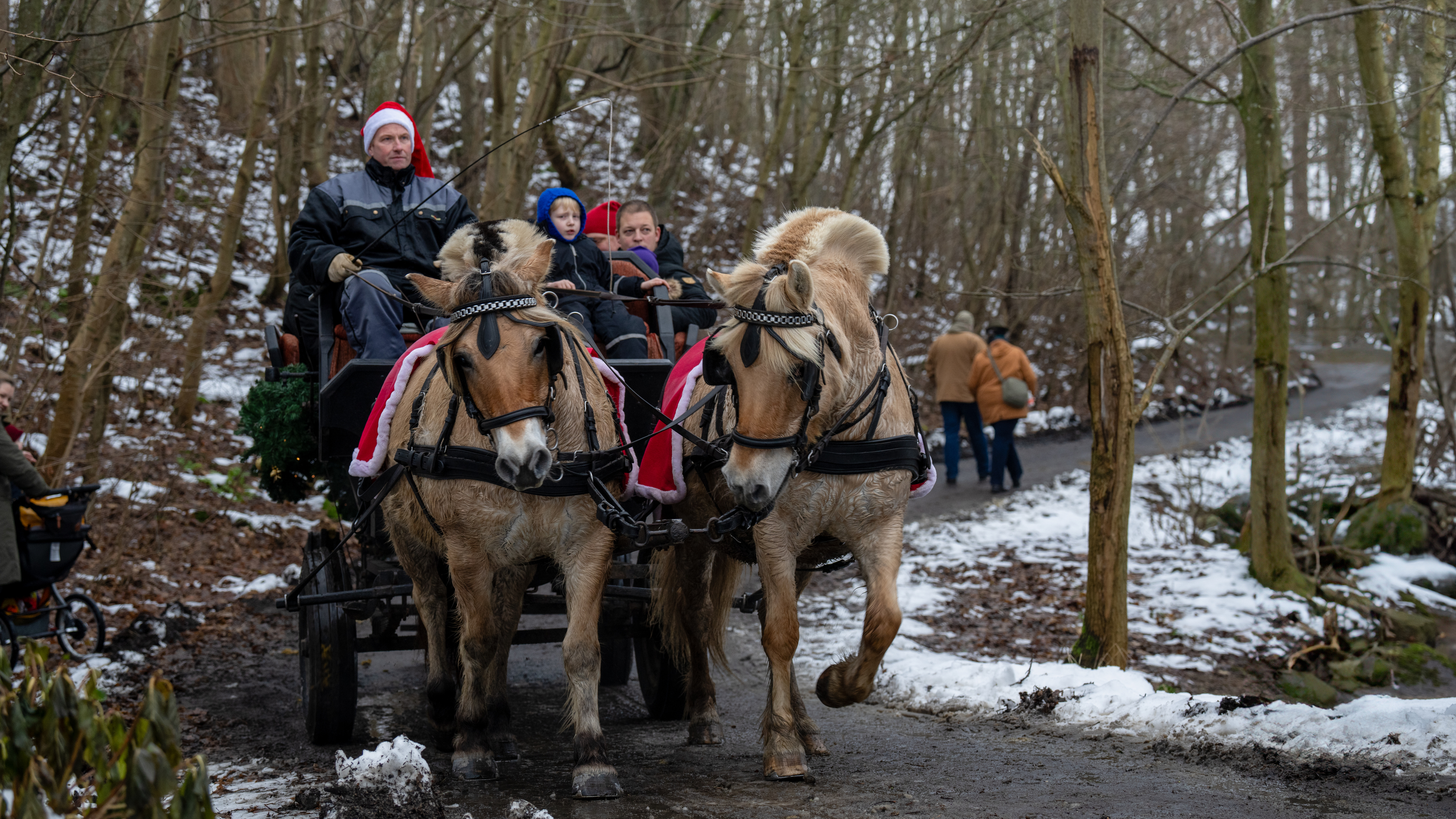 Hestevognstur til julemarked