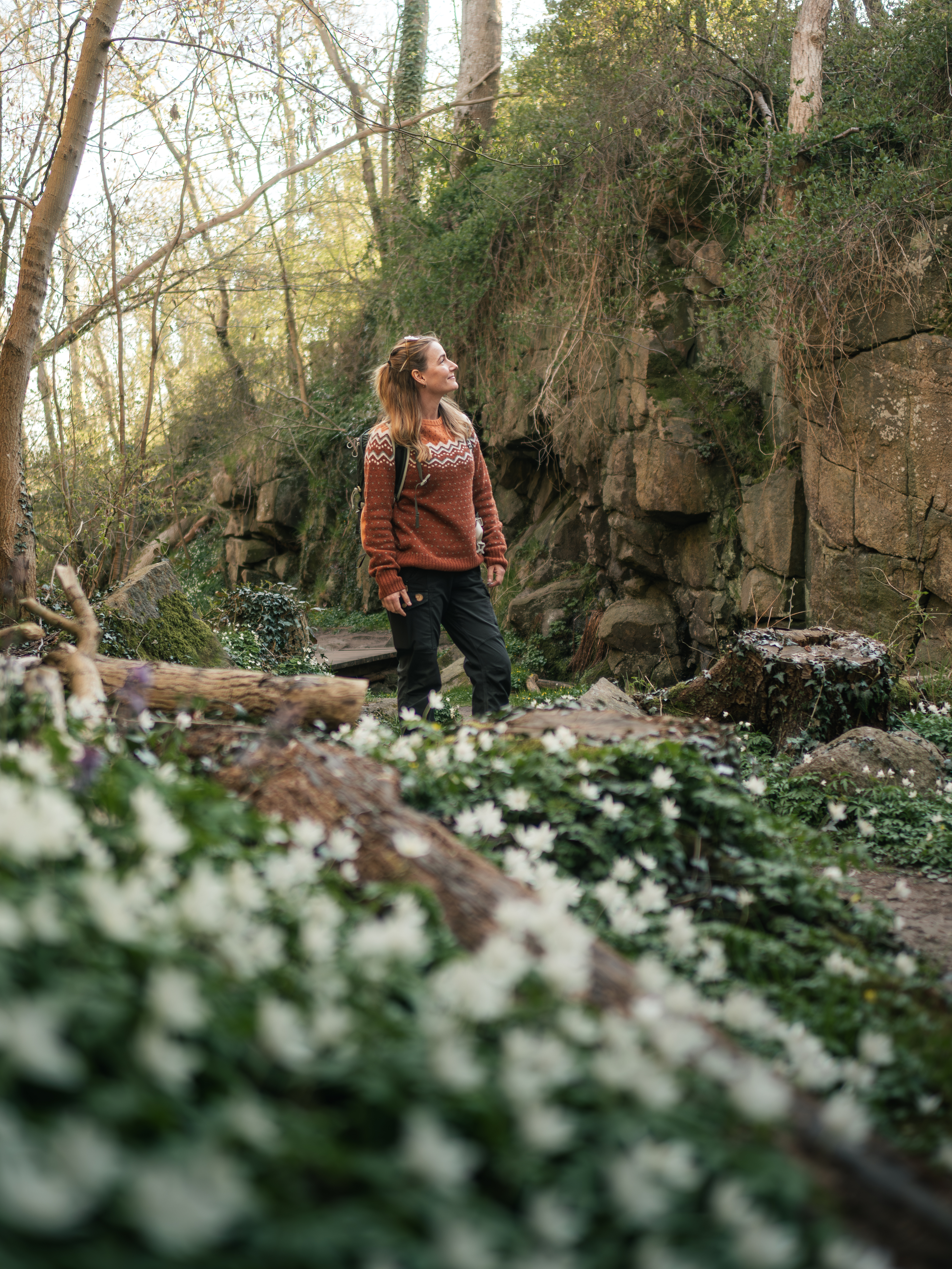Vandring i en skov fyldt med anemoner