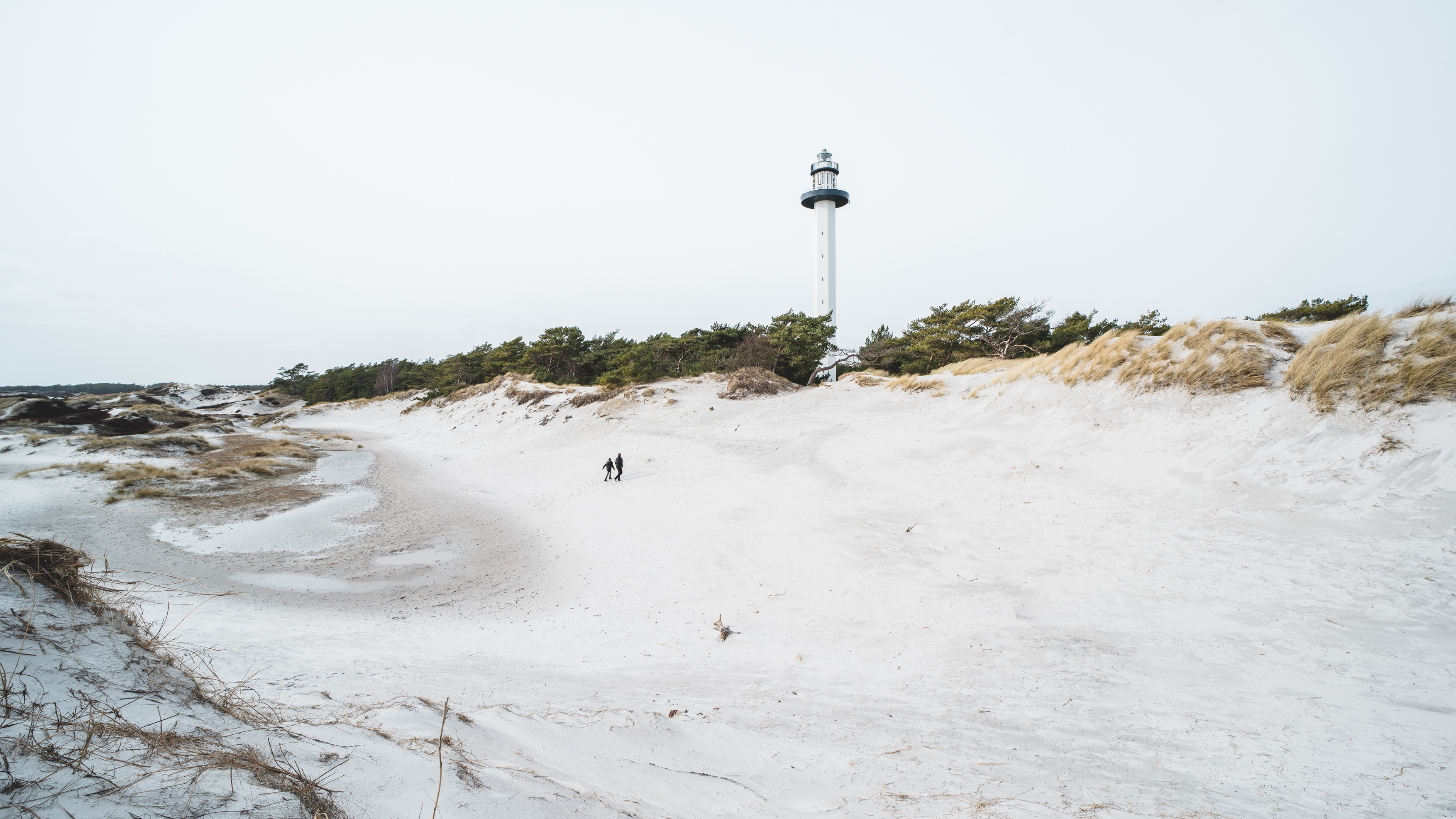 Dueodde strand om vinteren
