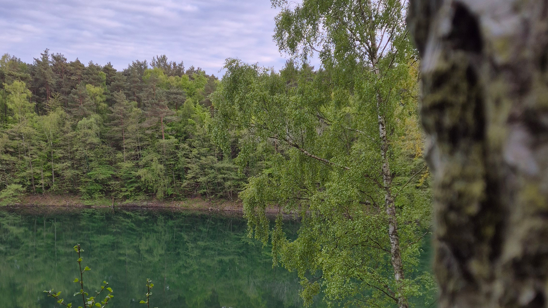 Rubinsøen i Hasle